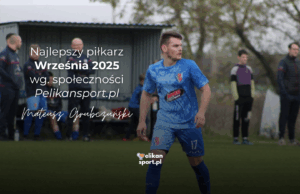 artykuł