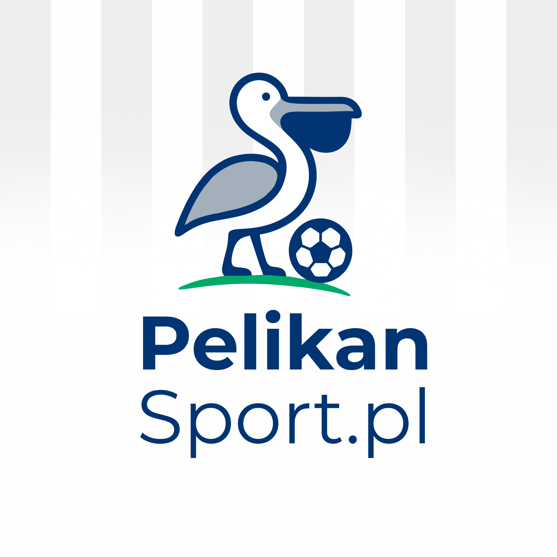 pelikansport.png