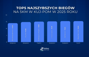 artykuł